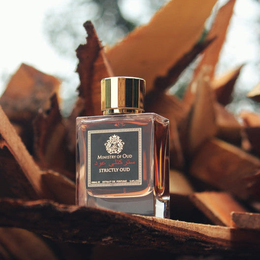 Paris Corner Ministry of Oud Strictly Extrait 100 ml